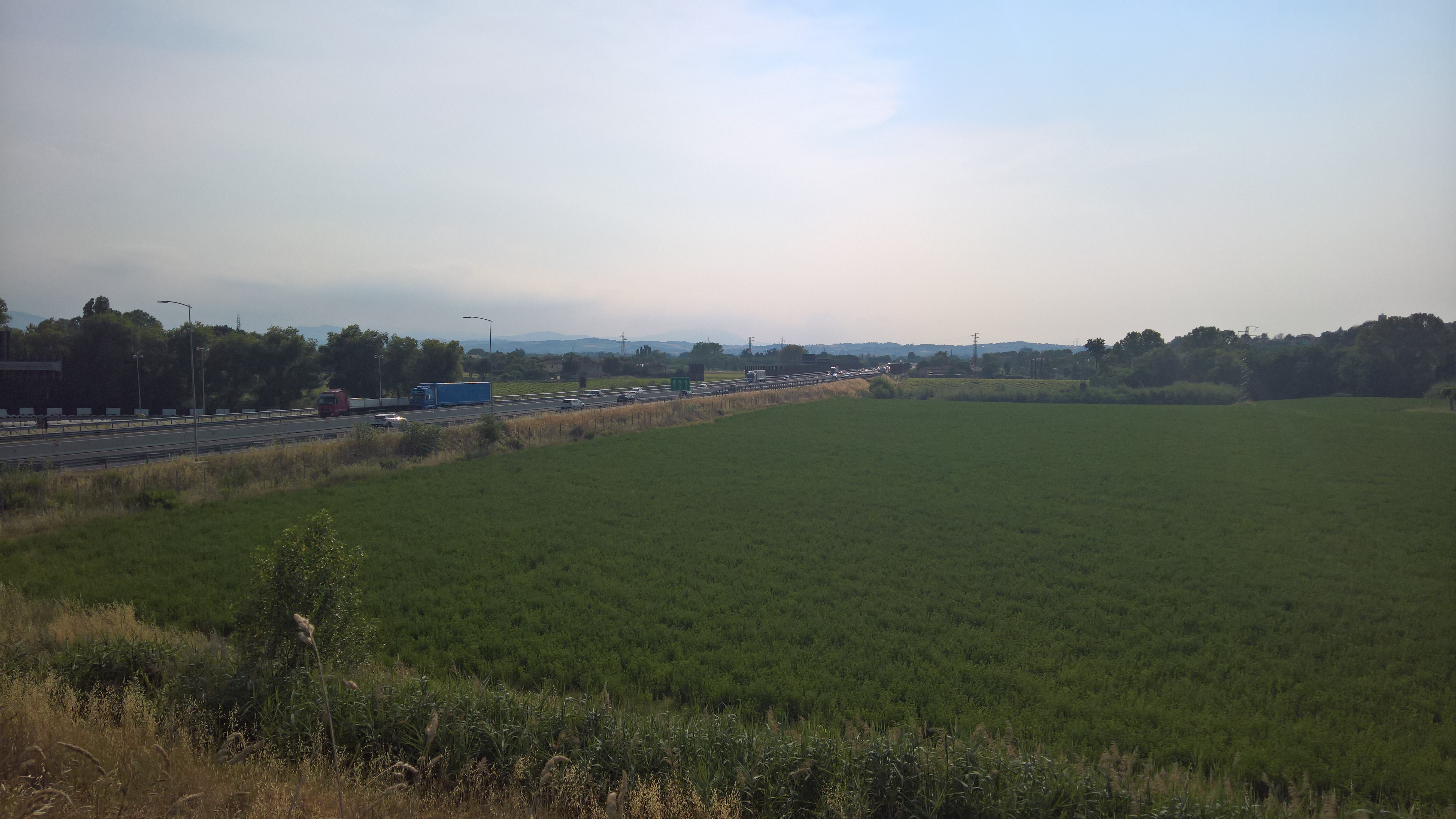 WP 20170615 17 45 58 Rich